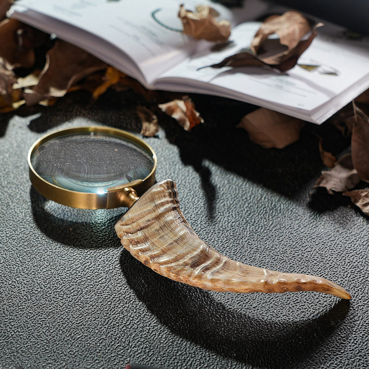 Natural & Black Handcrafted 3X Magnifying Glass Antic Gold Ring with Buffalo Horn Handle