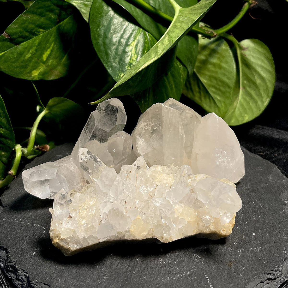 Natural Clear Quartz Cluster 3-4" 1310 ctw