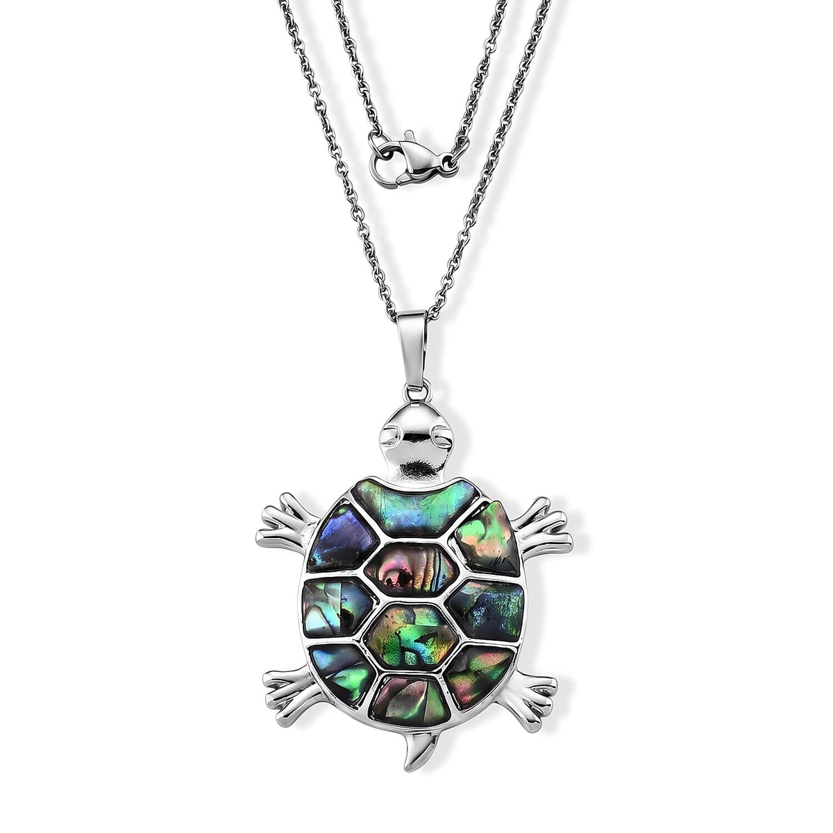 Abalone Shell Pendant in Silvertone with Stainless Steel Necklace 20 Inch