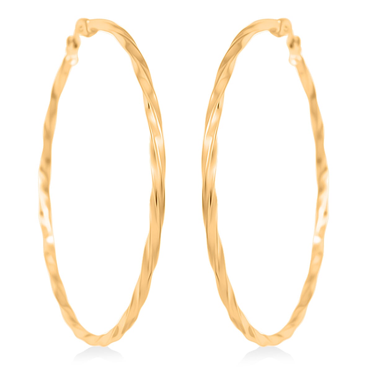 Round Twisted Hoop Earrings in Stainless Steel