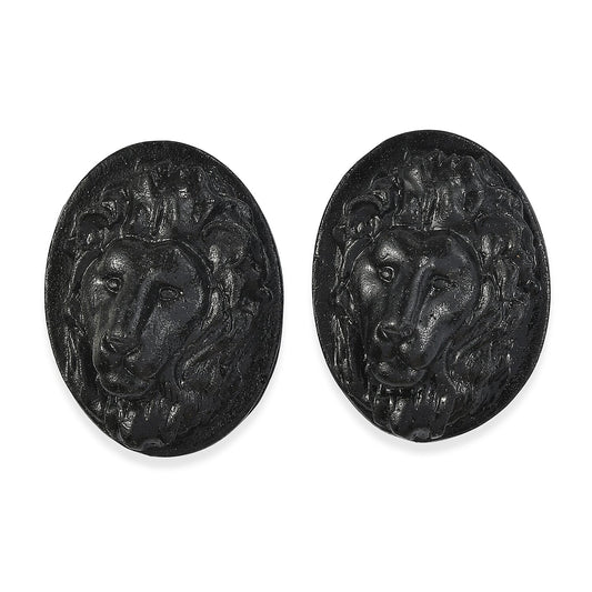 Silver Constituted Shungite