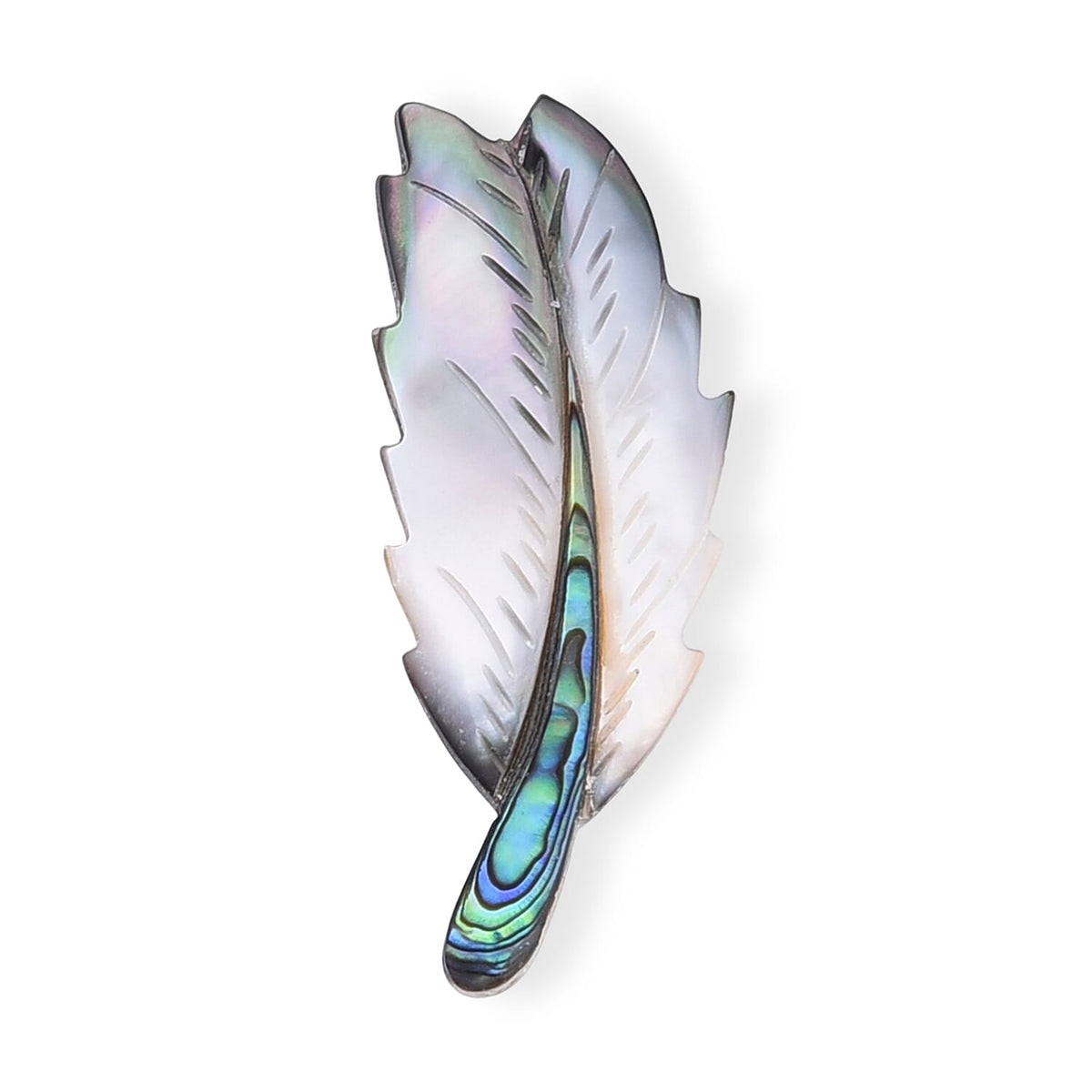 Mother of Pearl, Abalone Shell Feather Brooch in Silvertone