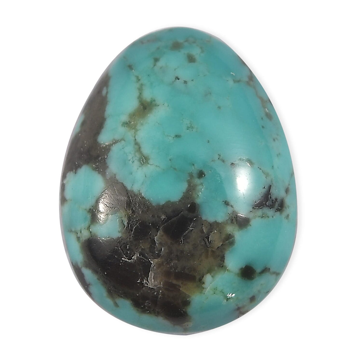 Blue Moon Turquoise (Fancy 8x6 mm) 1.17 ctw