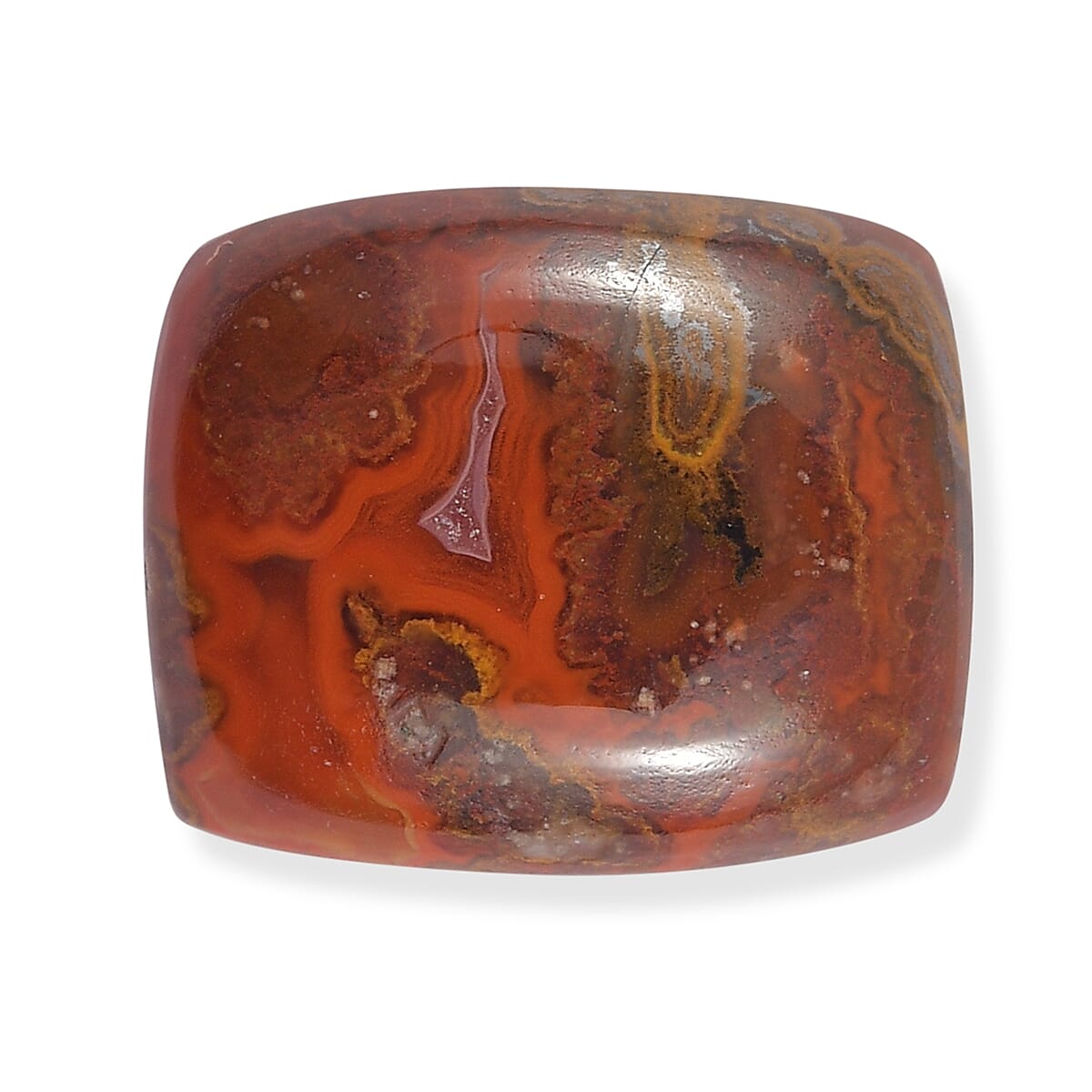 Slice Agate (Cush 12x10 mm) 4.28 ctw