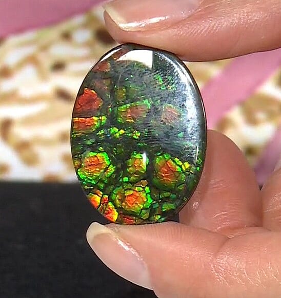 AAAA Canadian Ammolite (Ovl Free Size) 18.75 ctw