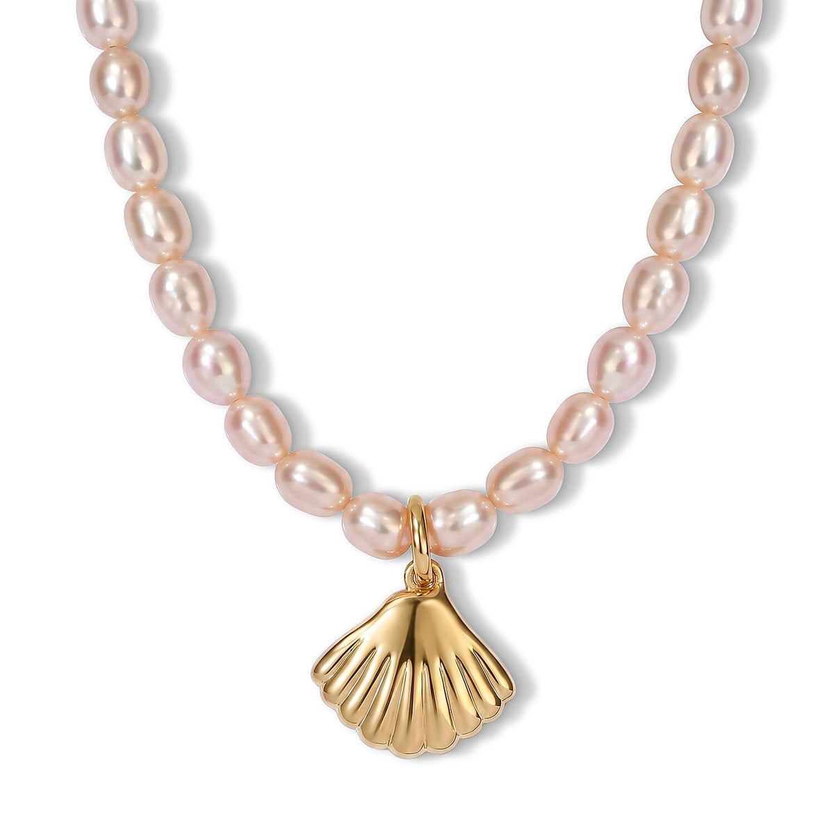 D''Joy Freshwater Pearl Seashell Necklace in 18K Vermeil Yellow Gold Over Sterling Silver (18 Inches)