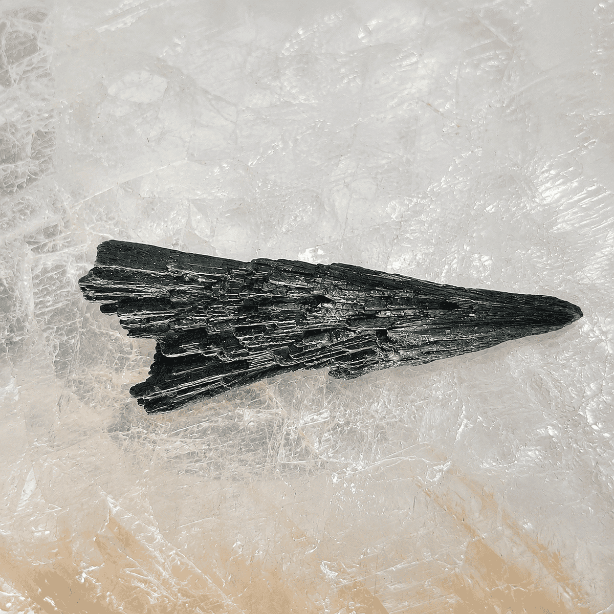 Natural Black Kyanite Spear 2-3" Approx 165Ctw