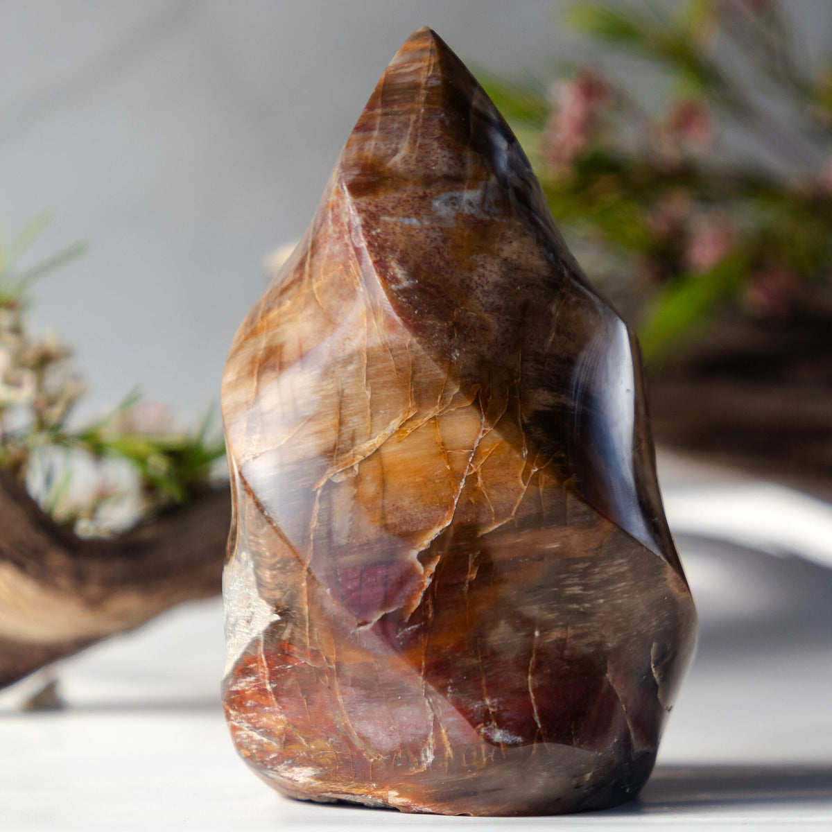 Petrified Wood Flame 2465 ctw
