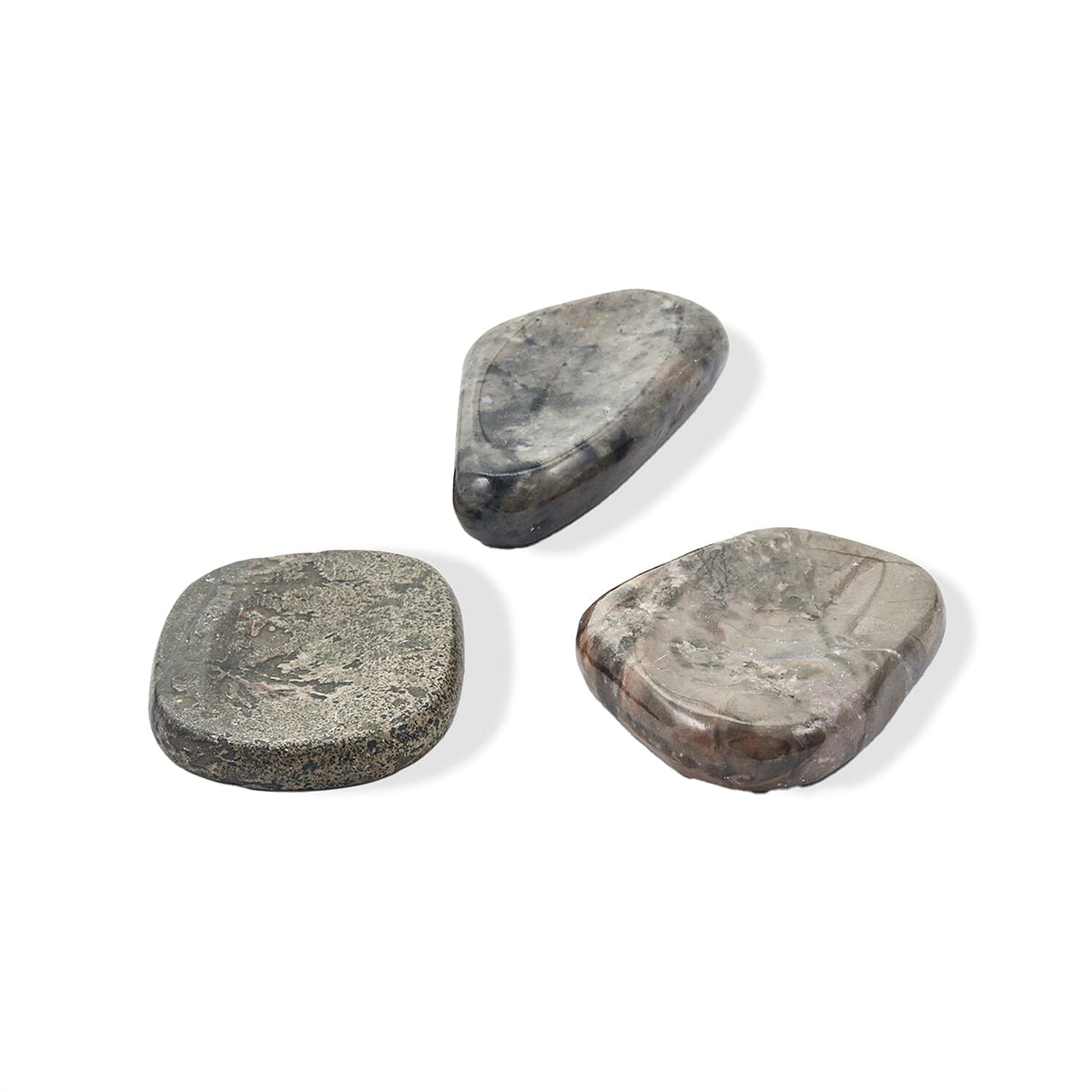 Petrified Wood Worry Stone