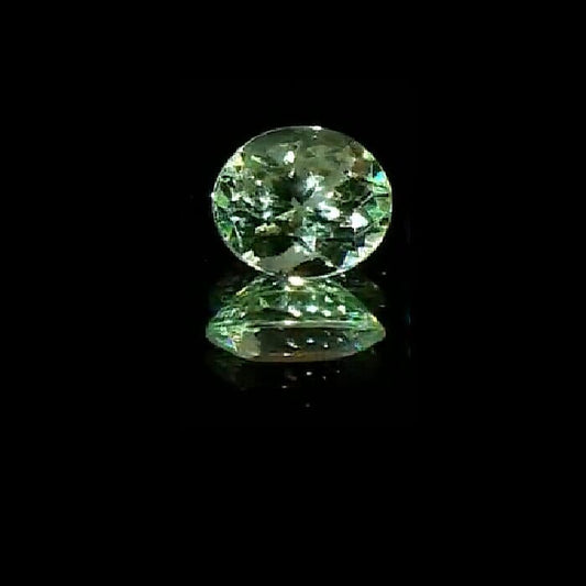 AAAA Merelani Mint Garnet (Round Free Size) 1.00 ctw